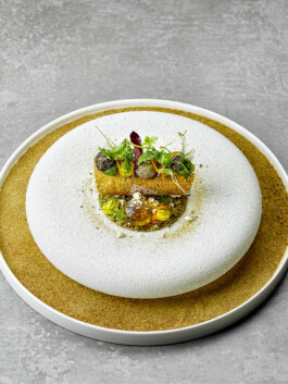 JAN C. BRETTSCHNEIDER