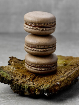 JAN C. BRETTSCHNEIDER