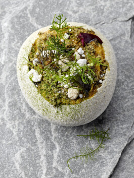 JAN C. BRETTSCHNEIDER