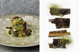 JAN C. BRETTSCHNEIDER