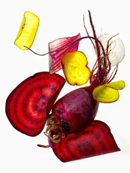 JAN C. BRETTSCHNEIDER