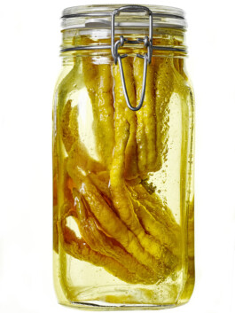 JAN C. BRETTSCHNEIDER