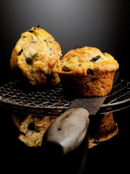 JAN C. BRETTSCHNEIDER