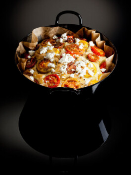 JAN C. BRETTSCHNEIDER