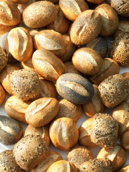 JAN C. BRETTSCHNEIDER