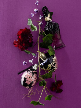 JAN C. BRETTSCHNEIDER