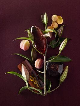 JAN C. BRETTSCHNEIDER