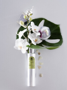 JAN C. BRETTSCHNEIDER