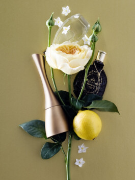 JAN C. BRETTSCHNEIDER