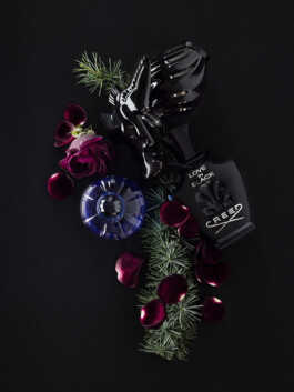 JAN C. BRETTSCHNEIDER