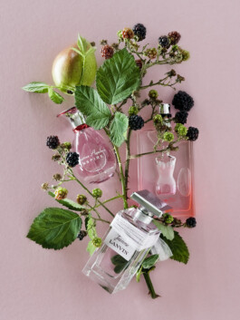 JAN C. BRETTSCHNEIDER