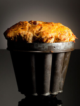 JAN C. BRETTSCHNEIDER