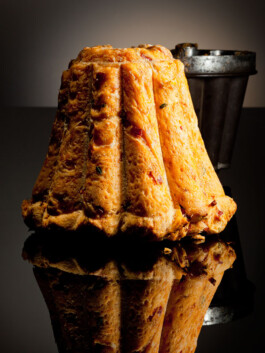 JAN C. BRETTSCHNEIDER