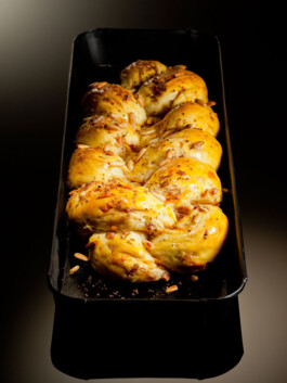 JAN C. BRETTSCHNEIDER