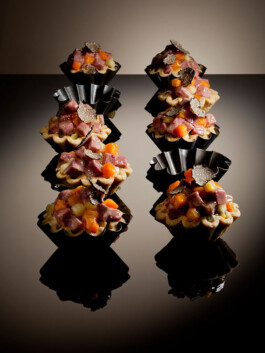 JAN C. BRETTSCHNEIDER