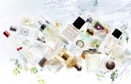 JAN C. BRETTSCHNEIDER