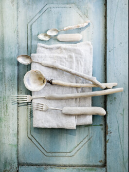 JAN C. BRETTSCHNEIDER