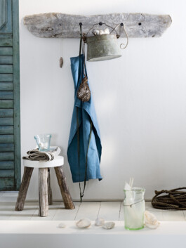 JAN C. BRETTSCHNEIDER