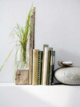 JAN C. BRETTSCHNEIDER