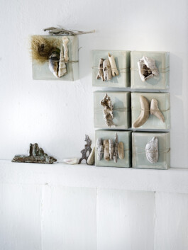 JAN C. BRETTSCHNEIDER