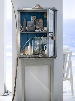 JAN C. BRETTSCHNEIDER