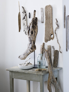 JAN C. BRETTSCHNEIDER