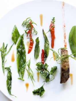 JAN C. BRETTSCHNEIDER