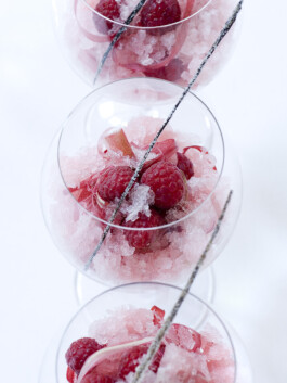 JAN C. BRETTSCHNEIDER