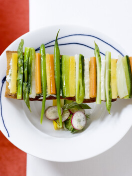 JAN C. BRETTSCHNEIDER