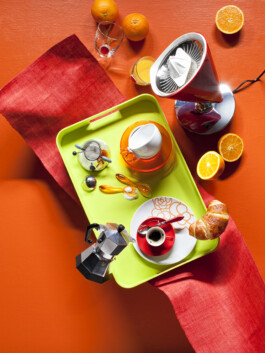 JAN C. BRETTSCHNEIDER