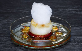 JAN C. BRETTSCHNEIDER