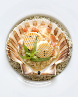 JAN C. BRETTSCHNEIDER