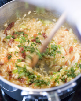 JAN C. BRETTSCHNEIDER