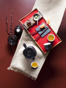 JAN C. BRETTSCHNEIDER