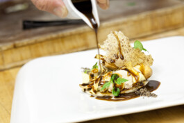 JAN C. BRETTSCHNEIDER