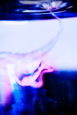 JAN C. BRETTSCHNEIDER