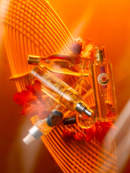 JAN C. BRETTSCHNEIDER