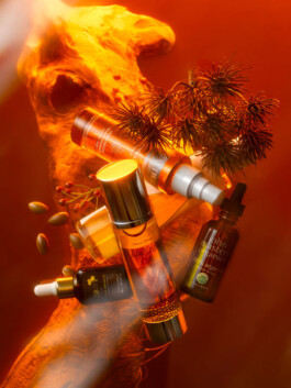 JAN C. BRETTSCHNEIDER