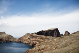 JAN C. BRETTSCHNEIDER