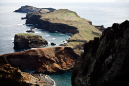 JAN C. BRETTSCHNEIDER