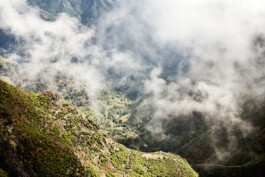 JAN C. BRETTSCHNEIDER