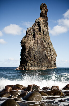 JAN C. BRETTSCHNEIDER