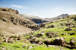 JAN C. BRETTSCHNEIDER