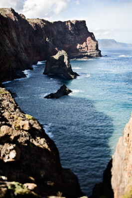 JAN C. BRETTSCHNEIDER