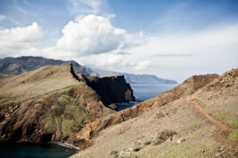 JAN C. BRETTSCHNEIDER