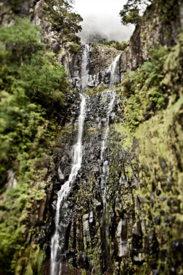 JAN C. BRETTSCHNEIDER