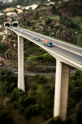 JAN C. BRETTSCHNEIDER