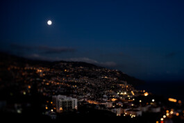 JAN C. BRETTSCHNEIDER