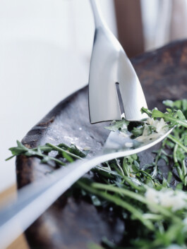 JAN C. BRETTSCHNEIDER