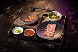 JAN C. BRETTSCHNEIDER